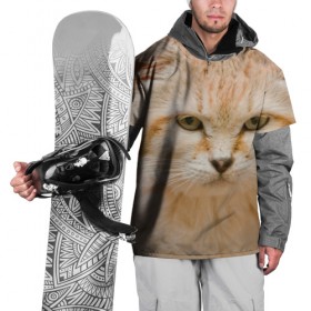 Накидка на куртку 3D с принтом Рыжий кот в Курске, 100% полиэстер |  | грустный | добрый | животное | киса | киска кися | кот | котенок | котэ | кошка | красивый | лапа | лапка | ласковый | милый | моська | мурлыка | прикольный | смешной | унылый | усатый | шерсть