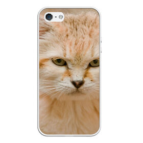 Чехол для iPhone 5/5S матовый с принтом Рыжий кот в Курске, Силикон | Область печати: задняя сторона чехла, без боковых панелей | грустный | добрый | животное | киса | киска кися | кот | котенок | котэ | кошка | красивый | лапа | лапка | ласковый | милый | моська | мурлыка | прикольный | смешной | унылый | усатый | шерсть