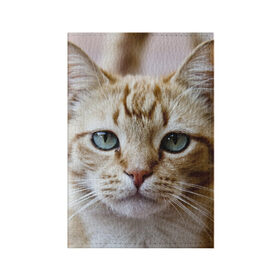Обложка для паспорта матовая кожа с принтом Рыжий кот, зеленые глаза в Курске, натуральная матовая кожа | размер 19,3 х 13,7 см; прозрачные пластиковые крепления | Тематика изображения на принте: грустный | добрый | животное | киса | киска кися | кот | котенок | котэ | кошка | красивый | лапа | лапка | ласковый | милый | моська | мурлыка | прикольный | смешной | унылый | усатый | шерсть