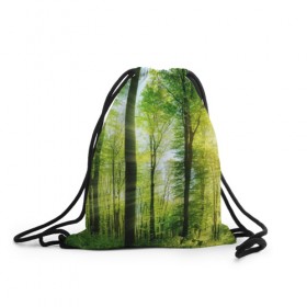 Рюкзак-мешок 3D с принтом Солнечный лес в Курске, 100% полиэстер | плотность ткани — 200 г/м2, размер — 35 х 45 см; лямки — толстые шнурки, застежка на шнуровке, без карманов и подкладки | Тематика изображения на принте: деревья | зелень | лес | лето | лучи солнца | солнце | тайга