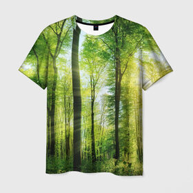 Мужская футболка 3D с принтом Солнечный лес в Курске, 100% полиэфир | прямой крой, круглый вырез горловины, длина до линии бедер | деревья | зелень | лес | лето | лучи солнца | солнце | тайга
