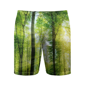 Мужские шорты 3D спортивные с принтом Солнечный лес в Курске,  |  | деревья | зелень | лес | лето | лучи солнца | солнце | тайга