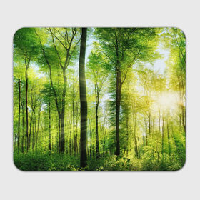 Коврик прямоугольный с принтом Солнечный лес в Курске, натуральный каучук | размер 230 х 185 мм; запечатка лицевой стороны | деревья | зелень | лес | лето | лучи солнца | солнце | тайга