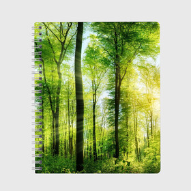 Тетрадь с принтом Солнечный лес в Курске, 100% бумага | 48 листов, плотность листов — 60 г/м2, плотность картонной обложки — 250 г/м2. Листы скреплены сбоку удобной пружинной спиралью. Уголки страниц и обложки скругленные. Цвет линий — светло-серый
 | Тематика изображения на принте: деревья | зелень | лес | лето | лучи солнца | солнце | тайга