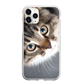 Чехол для iPhone 11 Pro матовый с принтом Кошачий взгляд в Курске, Силикон |  | Тематика изображения на принте: грустный | добрый | животное | киса | киска кися | кот | котенок | котэ | кошка | красивый | лапа | лапка | ласковый | милый | моська | мурлыка | прикольный | смешной | унылый | усатый | шерсть