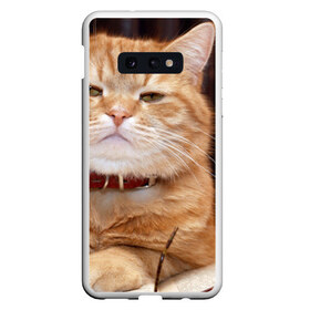 Чехол для Samsung S10E с принтом Рыжий кот в Курске, Силикон | Область печати: задняя сторона чехла, без боковых панелей | грустный | добрый | животное | киса | киска кися | кот | котенок | котэ | кошка | красивый | лапа | лапка | ласковый | милый | моська | мурлыка | прикольный | смешной | унылый | усатый | шерсть