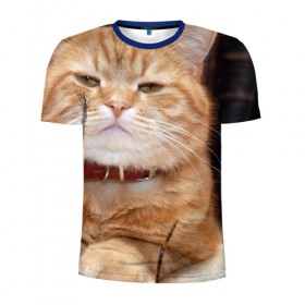 Мужская футболка 3D спортивная с принтом Рыжий кот в Курске, 100% полиэстер с улучшенными характеристиками | приталенный силуэт, круглая горловина, широкие плечи, сужается к линии бедра | грустный | добрый | животное | киса | киска кися | кот | котенок | котэ | кошка | красивый | лапа | лапка | ласковый | милый | моська | мурлыка | прикольный | смешной | унылый | усатый | шерсть