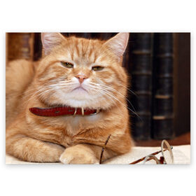 Поздравительная открытка с принтом Рыжий кот в Курске, 100% бумага | плотность бумаги 280 г/м2, матовая, на обратной стороне линовка и место для марки
 | грустный | добрый | животное | киса | киска кися | кот | котенок | котэ | кошка | красивый | лапа | лапка | ласковый | милый | моська | мурлыка | прикольный | смешной | унылый | усатый | шерсть