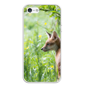 Чехол для iPhone 5/5S матовый с принтом Лисенок в Курске, Силикон | Область печати: задняя сторона чехла, без боковых панелей | fox | животное | зверь | красивая | лес | лис | лиса | лисенок | лисица | лисичка | природа | рыжая | рыжий цвет | хвост | хитрая | хищник