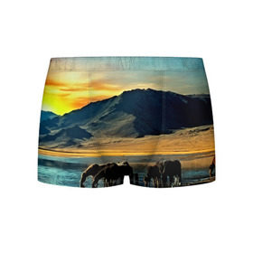 Мужские трусы 3D с принтом Лошади в Курске, 50% хлопок, 50% полиэстер | классическая посадка, на поясе мягкая тканевая резинка | 3d | берег | вода | горы | животное | закат | лошади | небо | прикольные | природа | река | солнце | яркие