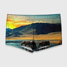 Мужские купальные плавки 3D с принтом Лошади в Курске, Полиэстер 85%, Спандекс 15% |  | 3d | берег | вода | горы | животное | закат | лошади | небо | прикольные | природа | река | солнце | яркие