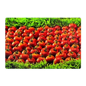 Магнитный плакат 3Х2 с принтом Томатик в Курске, Полимерный материал с магнитным слоем | 6 деталей размером 9*9 см | 3d | еда | зелень | красный | лето | много | овощи | пища | помидор | прикольные | томат | яркие