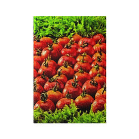 Обложка для паспорта матовая кожа с принтом Томатик в Курске, натуральная матовая кожа | размер 19,3 х 13,7 см; прозрачные пластиковые крепления | 3d | еда | зелень | красный | лето | много | овощи | пища | помидор | прикольные | томат | яркие