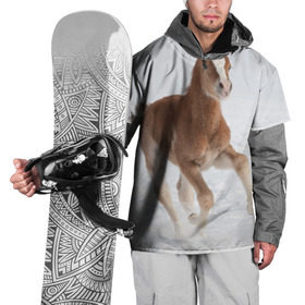 Накидка на куртку 3D с принтом Жеребенок в Курске, 100% полиэстер |  | вожжи | голоп | грация | езда | есаул | жеребец | животное | кобыла | кобылица | конь | копыта | копыто | лошадь | пегас | пони | рысак | сбруя | скакун | скачет | скачка | стойло | троя