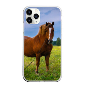 Чехол для iPhone 11 Pro Max матовый с принтом Конь в Курске, Силикон |  | Тематика изображения на принте: вожжи | голоп | грация | езда | есаул | жеребец | животное | кобыла | кобылица | конь | копыта | копыто | лошадь | пегас | пони | рысак | сбруя | скакун | скачет | скачка | стойло | троя