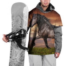Накидка на куртку 3D с принтом Черный конь в Курске, 100% полиэстер |  | вожжи | голоп | грация | езда | есаул | жеребец | животное | кобыла | кобылица | конь | копыта | копыто | лошадь | пегас | пони | рысак | сбруя | скакун | скачет | стойло | троя