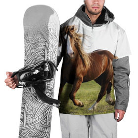 Накидка на куртку 3D с принтом Лошадь в Курске, 100% полиэстер |  | вожжи | голоп | грация | езда | есаул | жеребец | животное | кобыла | кобылица | конь | копыта | копыто | лошадь | пегас | пони | рысак | сбруя | скакун | скачет | стойло | троя