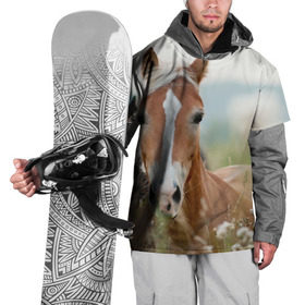 Накидка на куртку 3D с принтом Лошадь в Курске, 100% полиэстер |  | вожжи | голоп | грация | езда | есаул | жеребец | животное | кобыла | кобылица | конь | копыта | копыто | лошадь | пегас | пони | рысак | сбруя | скакун | скачет | скачка | стойло | троя