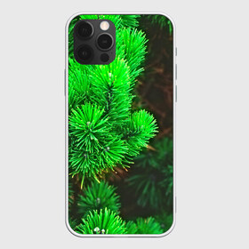 Чехол для iPhone 12 Pro Max с принтом Зелёная ель в Курске, Силикон |  | 3d | ёлка | ель | зелёный | лес | новый год | праздник | природа | текстура | фон