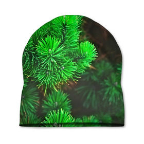 Шапка 3D с принтом Зелёная ель в Курске, 100% полиэстер | универсальный размер, печать по всей поверхности изделия | Тематика изображения на принте: 3d | ёлка | ель | зелёный | лес | новый год | праздник | природа | текстура | фон