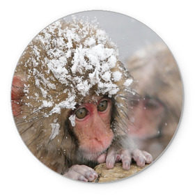 Коврик круглый с принтом Обезьянка и зима в Курске, резина и полиэстер | круглая форма, изображение наносится на всю лицевую часть | бабуин | гамадрил | гиббон | горилла | гуманоид | дарвин | животное | зоопарк | кинг конг | мартышка | маугли | обезьяна | орангутанг | предок | примат | рожа | хомо сапиенс | шимпанзе