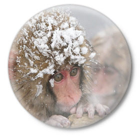 Значок с принтом Обезьянка и зима в Курске,  металл | круглая форма, металлическая застежка в виде булавки | бабуин | гамадрил | гиббон | горилла | гуманоид | дарвин | животное | зоопарк | кинг конг | мартышка | маугли | обезьяна | орангутанг | предок | примат | рожа | хомо сапиенс | шимпанзе