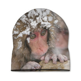 Шапка 3D с принтом Обезьянка и зима в Курске, 100% полиэстер | универсальный размер, печать по всей поверхности изделия | бабуин | гамадрил | гиббон | горилла | гуманоид | дарвин | животное | зоопарк | кинг конг | мартышка | маугли | обезьяна | орангутанг | предок | примат | рожа | хомо сапиенс | шимпанзе