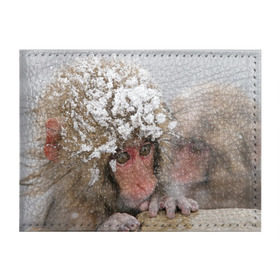 Обложка для студенческого билета с принтом Обезьянка и зима в Курске, натуральная кожа | Размер: 11*8 см; Печать на всей внешней стороне | бабуин | гамадрил | гиббон | горилла | гуманоид | дарвин | животное | зоопарк | кинг конг | мартышка | маугли | обезьяна | орангутанг | предок | примат | рожа | хомо сапиенс | шимпанзе