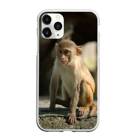Чехол для iPhone 11 Pro Max матовый с принтом Мартышка в Курске, Силикон |  | животное | мартышка | обезьяна | примат