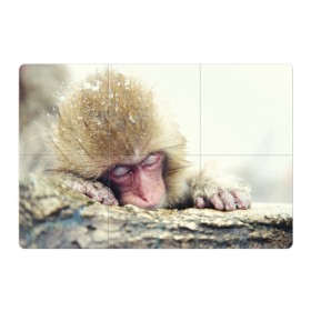Магнитный плакат 3Х2 с принтом Обезьянка спит в Курске, Полимерный материал с магнитным слоем | 6 деталей размером 9*9 см | Тематика изображения на принте: бабуин | животное | обезьяна | орангутанг | примат