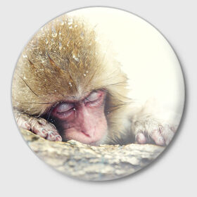 Значок с принтом Обезьянка спит в Курске,  металл | круглая форма, металлическая застежка в виде булавки | Тематика изображения на принте: бабуин | животное | обезьяна | орангутанг | примат