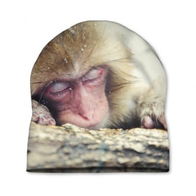 Шапка 3D с принтом Обезьянка спит в Курске, 100% полиэстер | универсальный размер, печать по всей поверхности изделия | Тематика изображения на принте: бабуин | животное | обезьяна | орангутанг | примат
