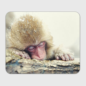 Коврик прямоугольный с принтом Обезьянка спит в Курске, натуральный каучук | размер 230 х 185 мм; запечатка лицевой стороны | бабуин | животное | обезьяна | орангутанг | примат