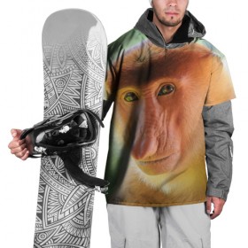 Накидка на куртку 3D с принтом Рыжая обезьяна в Курске, 100% полиэстер |  | Тематика изображения на принте: 