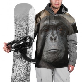 Накидка на куртку 3D с принтом Обезьяна в Курске, 100% полиэстер |  | Тематика изображения на принте: 