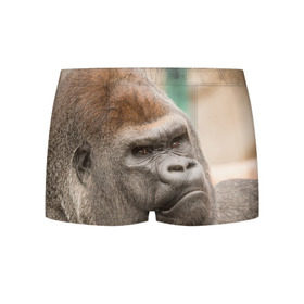 Мужские трусы 3D с принтом Обезьяна в Курске, 50% хлопок, 50% полиэстер | классическая посадка, на поясе мягкая тканевая резинка | Тематика изображения на принте: горилла | животное | обезьяна | примат
