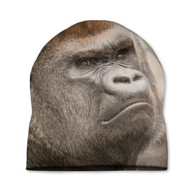 Шапка 3D с принтом Обезьяна в Курске, 100% полиэстер | универсальный размер, печать по всей поверхности изделия | горилла | животное | обезьяна | примат