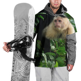 Накидка на куртку 3D с принтом Обезьянка в джунглях в Курске, 100% полиэстер |  | бабуин | гамадрил | гиббон | горилла | гуманоид | дарвин | животное | зоопарк | кинг конг | мартышка | маугли | обезьяна | орангутанг | предок | примат | рожа | хомо сапиенс | шимпанзе
