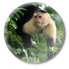 Значок с принтом Обезьянка в джунглях в Курске,  металл | круглая форма, металлическая застежка в виде булавки | Тематика изображения на принте: бабуин | гамадрил | гиббон | горилла | гуманоид | дарвин | животное | зоопарк | кинг конг | мартышка | маугли | обезьяна | орангутанг | предок | примат | рожа | хомо сапиенс | шимпанзе