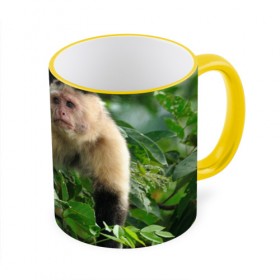 Кружка 3D с принтом Обезьянка в джунглях в Курске, керамика | ёмкость 330 мл | Тематика изображения на принте: бабуин | гамадрил | гиббон | горилла | гуманоид | дарвин | животное | зоопарк | кинг конг | мартышка | маугли | обезьяна | орангутанг | предок | примат | рожа | хомо сапиенс | шимпанзе