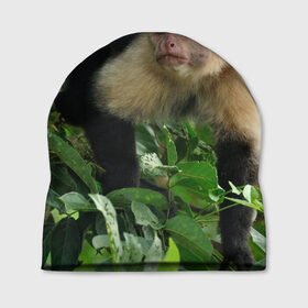 Шапка 3D с принтом Обезьянка в джунглях в Курске, 100% полиэстер | универсальный размер, печать по всей поверхности изделия | Тематика изображения на принте: бабуин | гамадрил | гиббон | горилла | гуманоид | дарвин | животное | зоопарк | кинг конг | мартышка | маугли | обезьяна | орангутанг | предок | примат | рожа | хомо сапиенс | шимпанзе