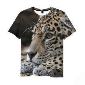 Мужская футболка 3D с принтом Леопард в Курске, 100% полиэфир | прямой крой, круглый вырез горловины, длина до линии бедер | Тематика изображения на принте: властелин | грация | животные | зверь | кот | кошачий | кошки | крупный | леопард | лес | милый | млекопитающее | природа | пятна | рыжий | усатый | усы | фауна | флора | хищник | хозяин | царь джунгли