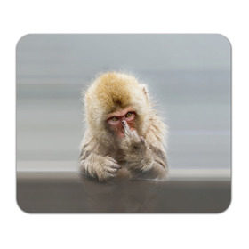 Коврик прямоугольный с принтом Японская макака в Курске, натуральный каучук | размер 230 х 185 мм; запечатка лицевой стороны | макак | мартышка | обезьяна | палец | япония