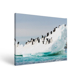 Холст прямоугольный с принтом Пингвины на айсберге в Курске, 100% ПВХ |  | Тематика изображения на принте: айсберг | антарктида | антарктика | арктика | буревестник | глупый | императорский | клюв | королевский | крылья | ласты | лёд | линукс | океан | пилигрим | полюс | птица | север | снег | умка | фрак