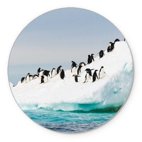 Коврик круглый с принтом Пингвины на айсберге в Курске, резина и полиэстер | круглая форма, изображение наносится на всю лицевую часть | айсберг | антарктида | антарктика | арктика | буревестник | глупый | императорский | клюв | королевский | крылья | ласты | лёд | линукс | океан | пилигрим | полюс | птица | север | снег | умка | фрак