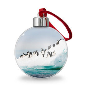 Ёлочный шар с принтом Пингвины на айсберге в Курске, Пластик | Диаметр: 77 мм | айсберг | антарктида | антарктика | арктика | буревестник | глупый | императорский | клюв | королевский | крылья | ласты | лёд | линукс | океан | пилигрим | полюс | птица | север | снег | умка | фрак