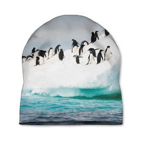 Шапка 3D с принтом Пингвины на айсберге в Курске, 100% полиэстер | универсальный размер, печать по всей поверхности изделия | айсберг | антарктида | антарктика | арктика | буревестник | глупый | императорский | клюв | королевский | крылья | ласты | лёд | линукс | океан | пилигрим | полюс | птица | север | снег | умка | фрак