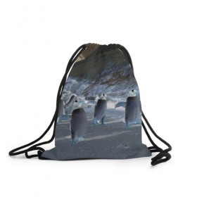 Рюкзак-мешок 3D с принтом Ночные пингвины в горах в Курске, 100% полиэстер | плотность ткани — 200 г/м2, размер — 35 х 45 см; лямки — толстые шнурки, застежка на шнуровке, без карманов и подкладки | 