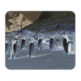 Коврик прямоугольный с принтом Ночные пингвины в горах в Курске, натуральный каучук | размер 230 х 185 мм; запечатка лицевой стороны | 