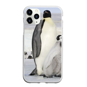 Чехол для iPhone 11 Pro Max матовый с принтом Пингвин и пингвинята в Курске, Силикон |  | айсберг | антарктида | антарктика | арктика | буревестник | глупый | императорский | клюв | королевский | крылья | ласты | лёд | линукс | океан | пилигрим | полюс | птица | север | снег | умка | фрак